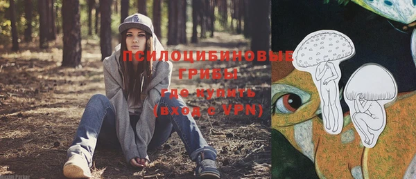 крисы Алзамай