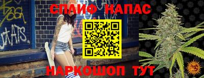 МДПВ Новокубанск