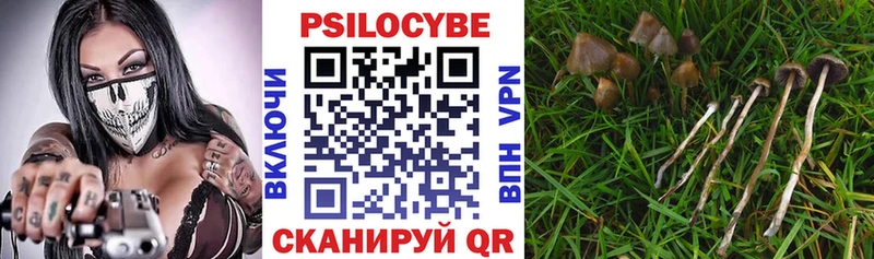 Галлюциногенные грибы ЛСД  Электрогорск 