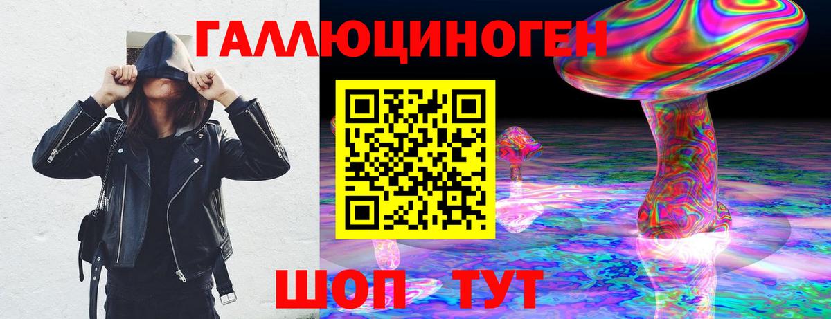 Псилоцибиновые грибы Psilocybe Электрогорск