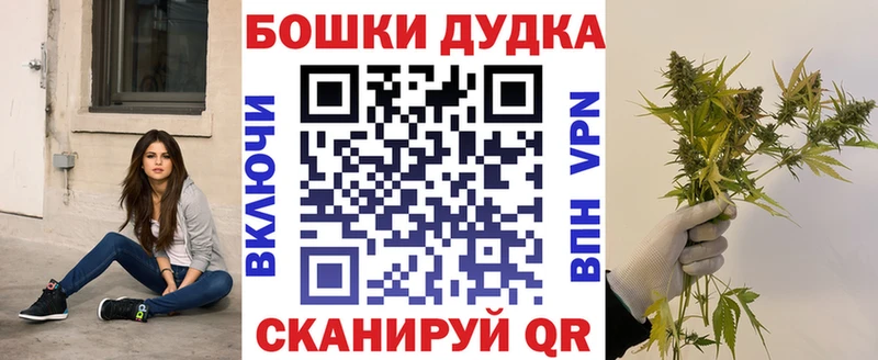сайты даркнета формула  Электрогорск  Каннабис сатива 